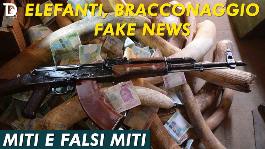 ELEFANTI, BRACCONAGGIO E FAKE NEWS 3
