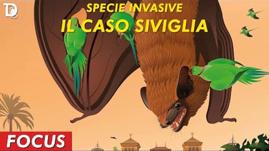 SPECIE INVASIVE