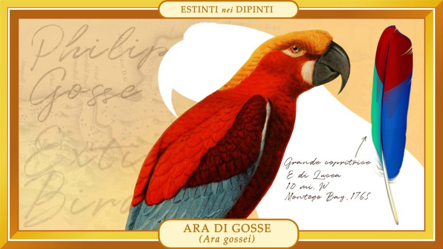Stampa